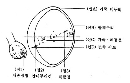 173_1.jpg